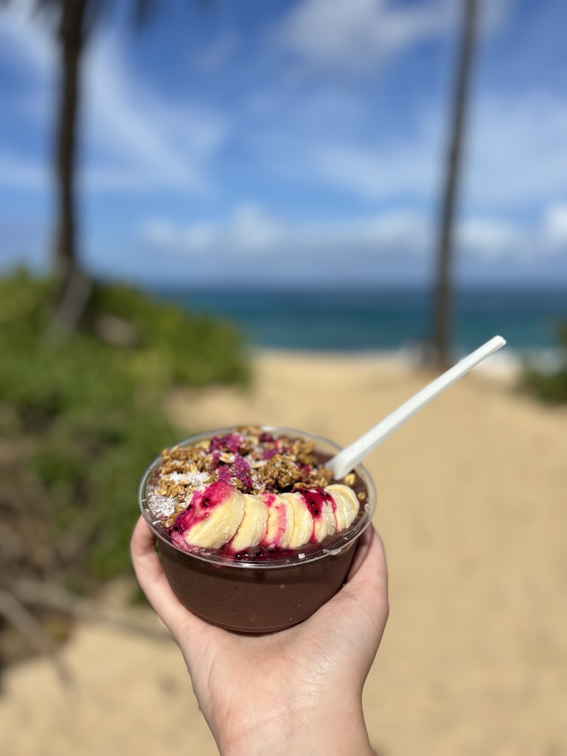 A tropical fruit bowl beside the beach in Hawaii